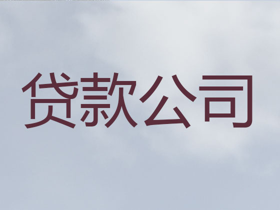 龙港市信用贷款-银行抵押贷款